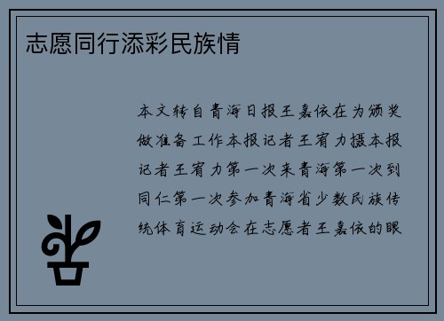 志愿同行添彩民族情